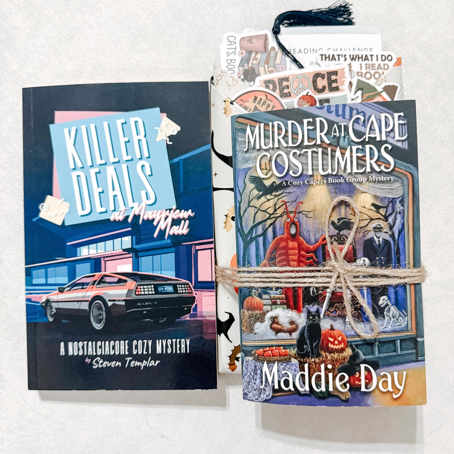 November 2025 Monthly Book Club Pick - Blind Date with a Book