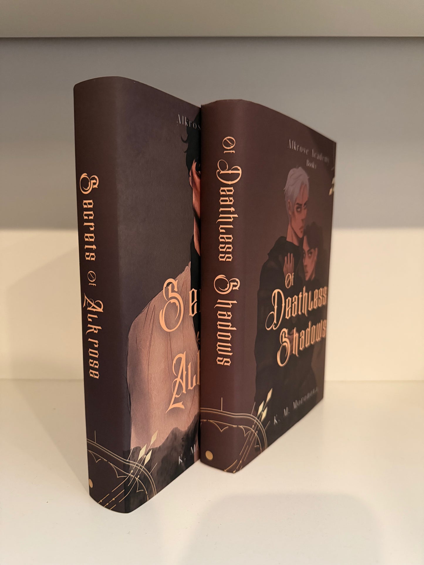 Special Edition/OOP Blind Date with a Book