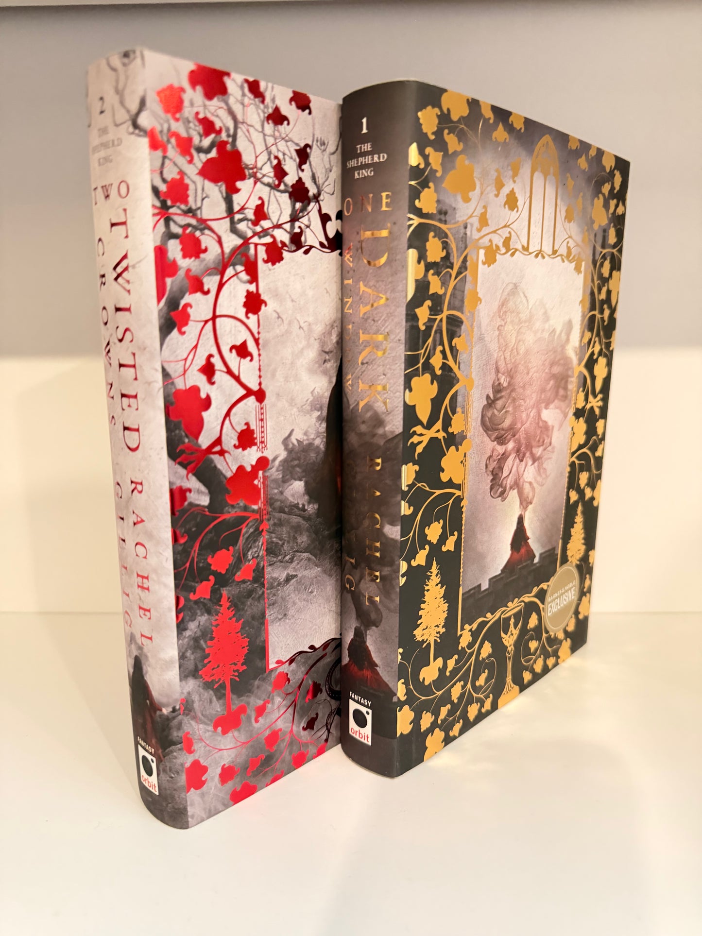 Special Edition/OOP Blind Date with a Book