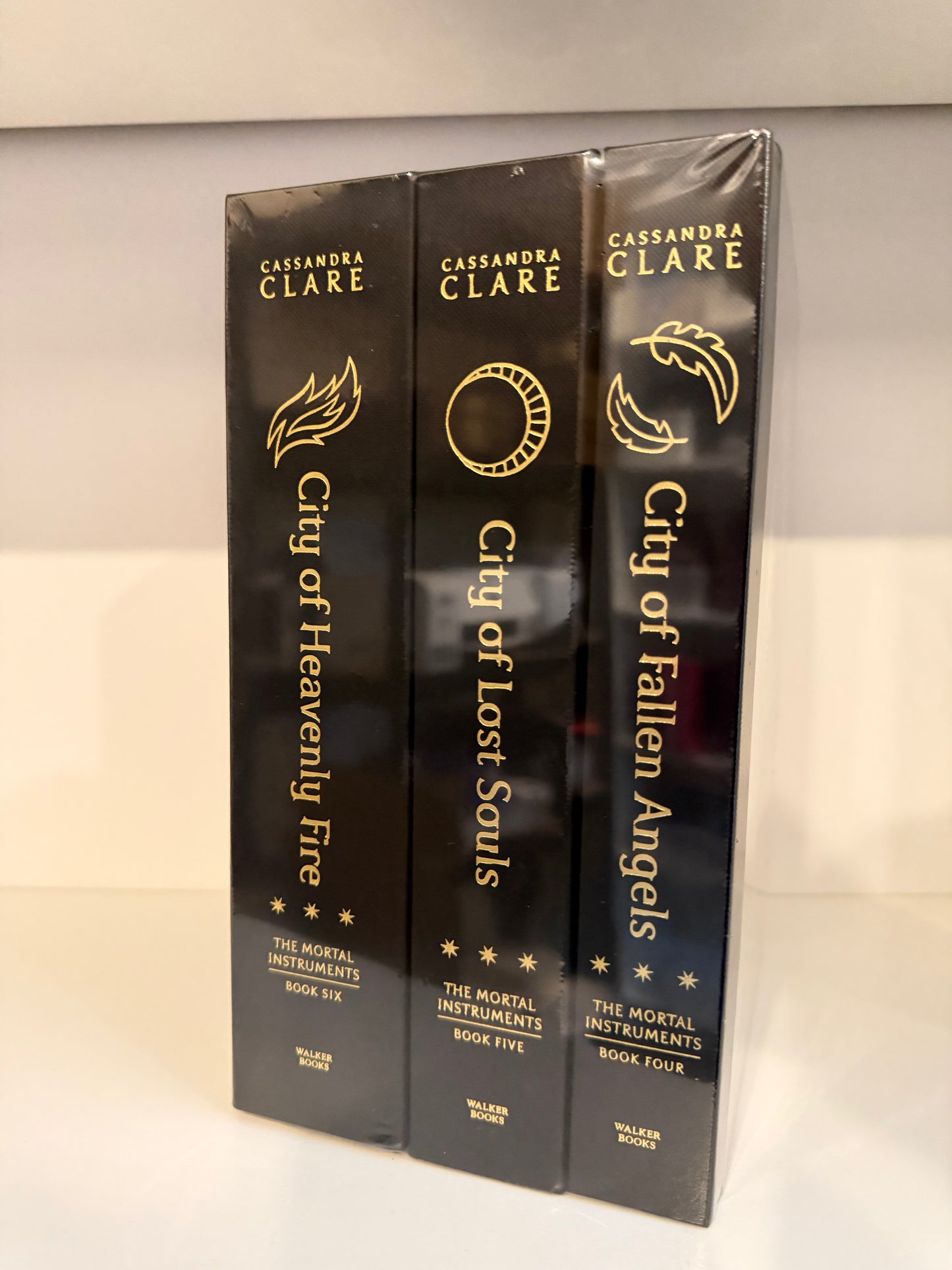 Special Edition/OOP Blind Date with a Book