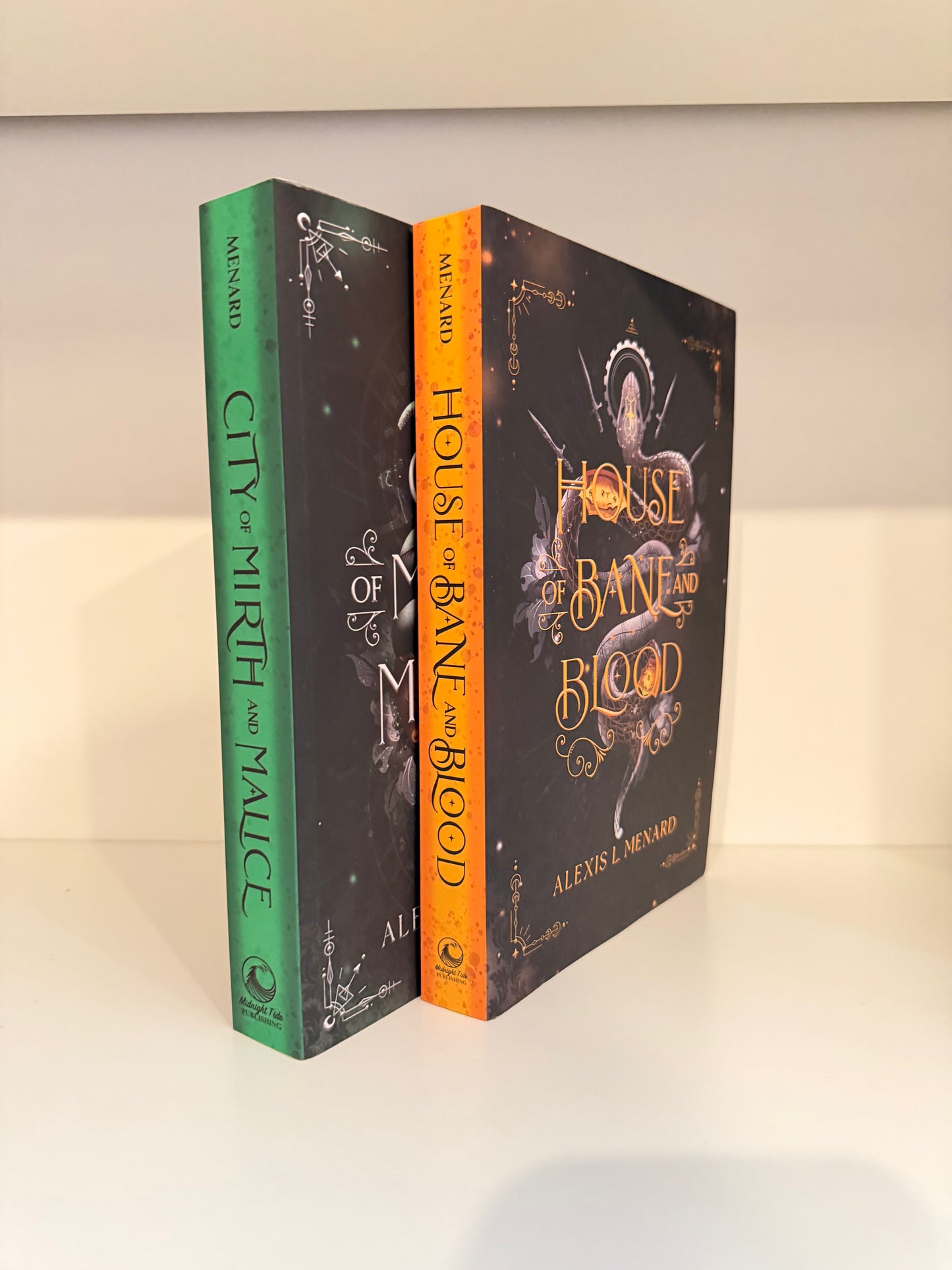 Special Edition/OOP Blind Date with a Book