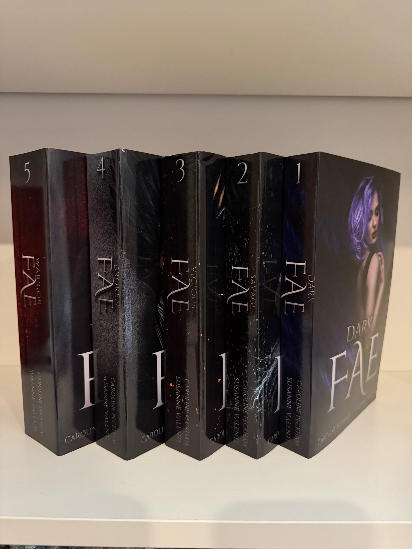 Special Edition/OOP Blind Date with a Book