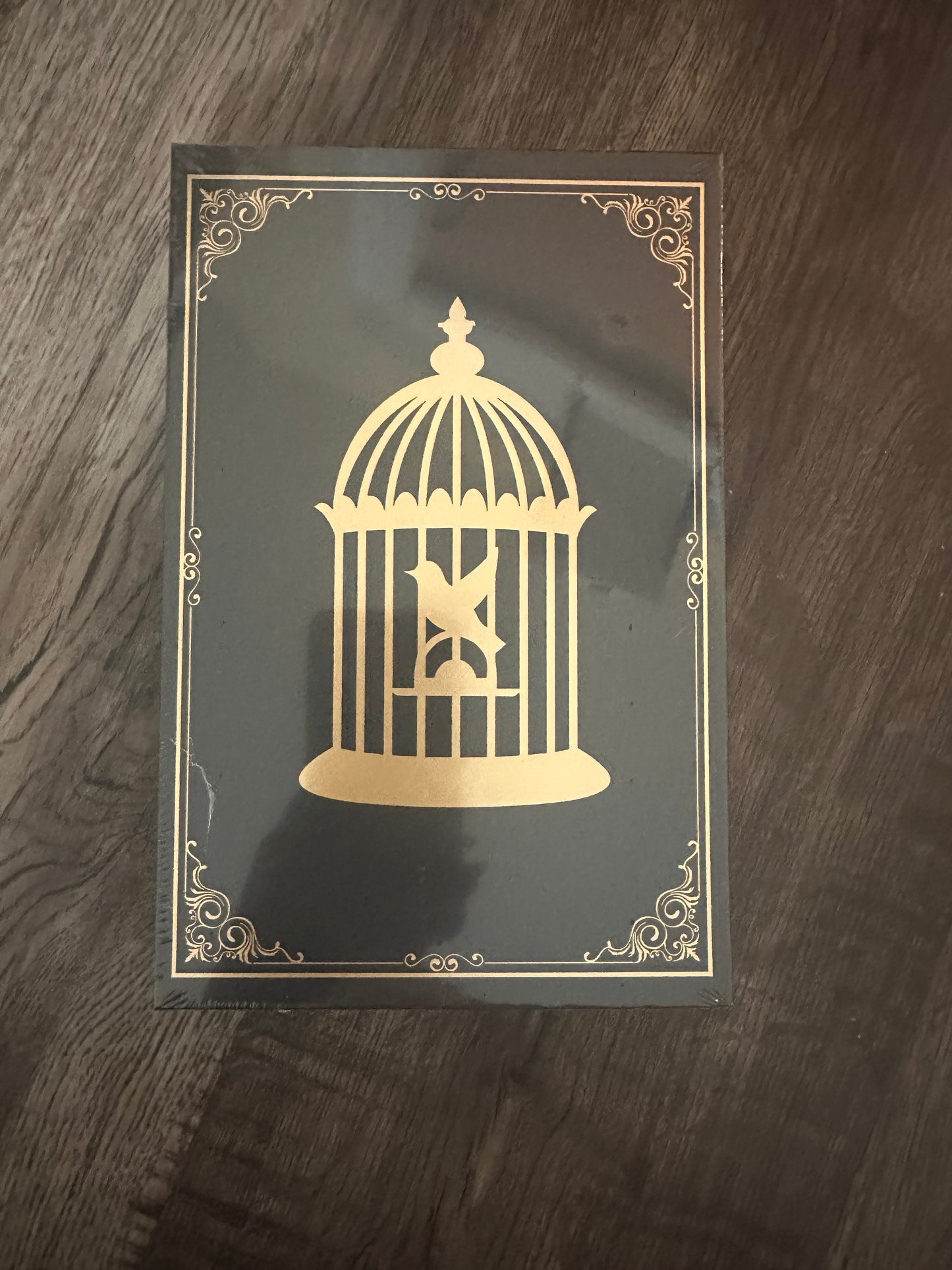 Special Edition/OOP Blind Date with a Book