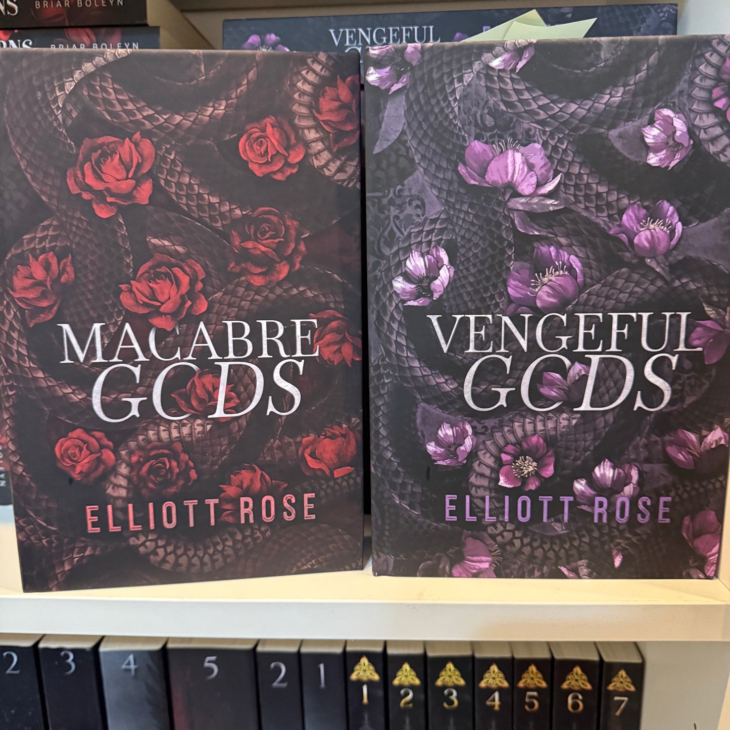 Special Edition/OOP Blind Date with a Book