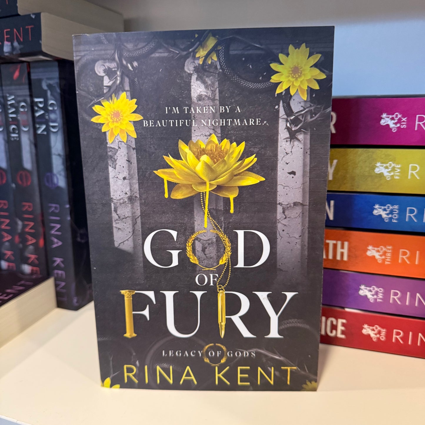 Special Edition/OOP Blind Date with a Book